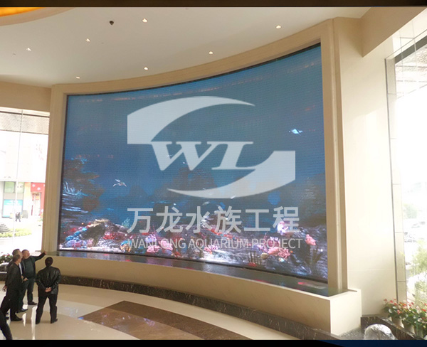 無邊際泳池的建設目的是什么？