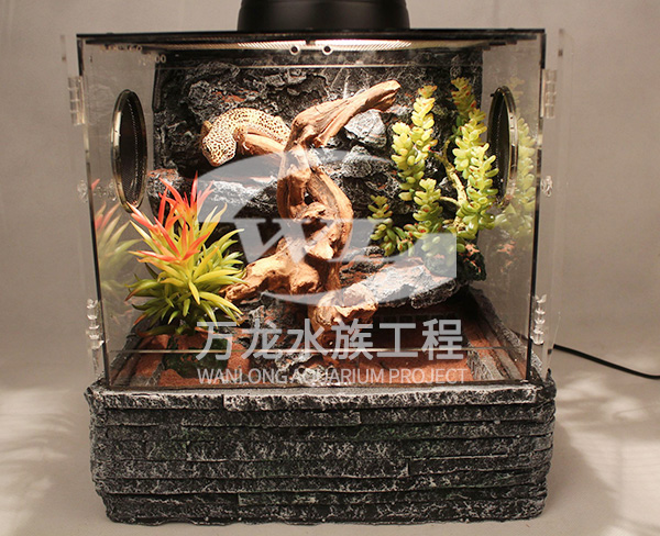 大型魚(yú)缸出現(xiàn)氣泡怎么處理？