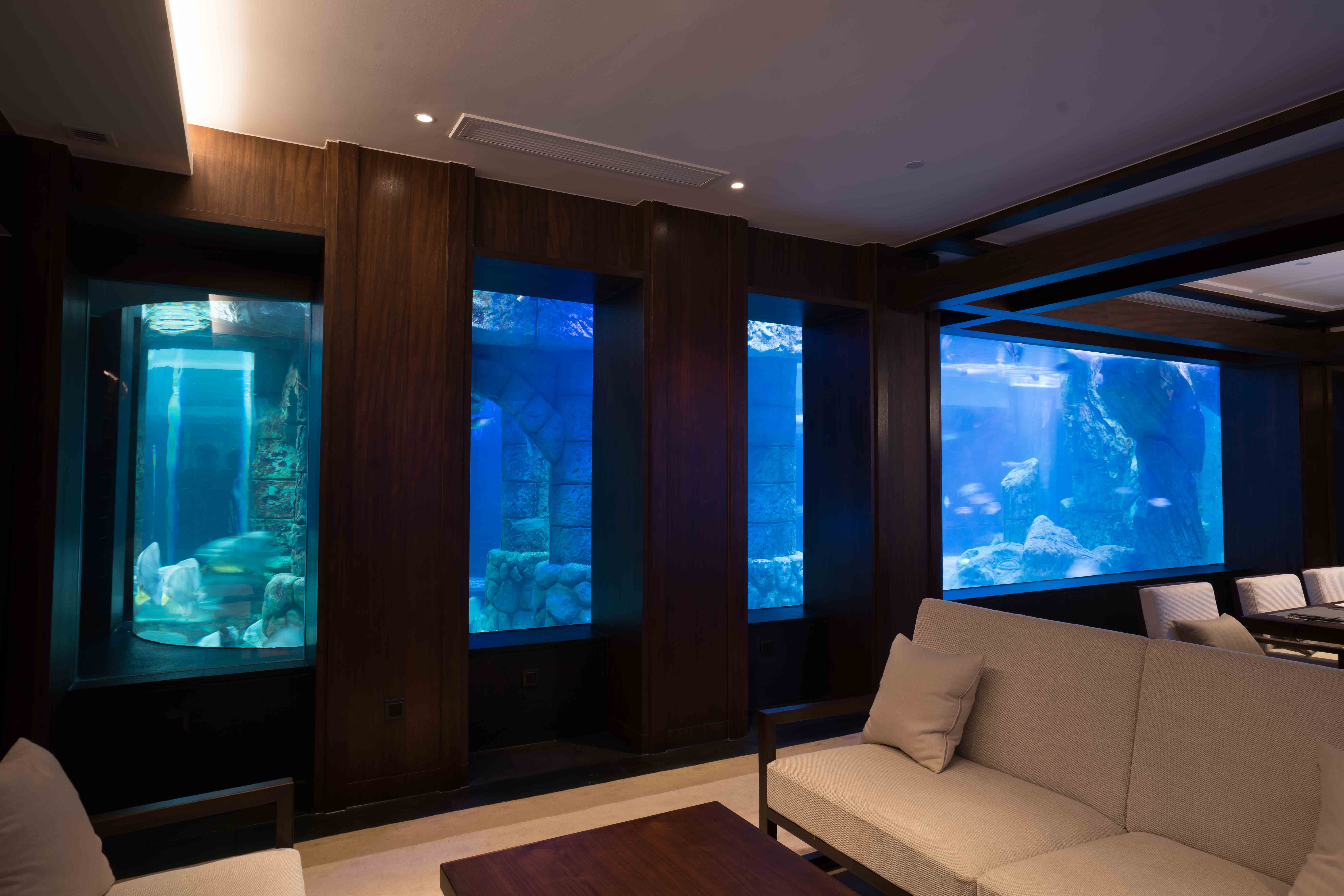 三步制作喂奶魚魚缸