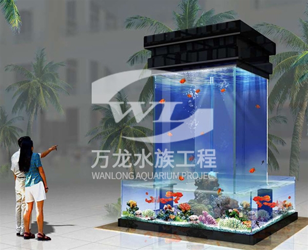 負(fù)壓魚(yú)缸