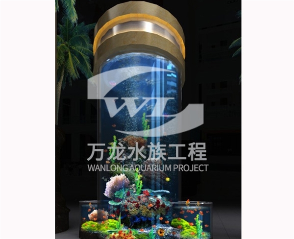 負(fù)壓魚(yú)缸