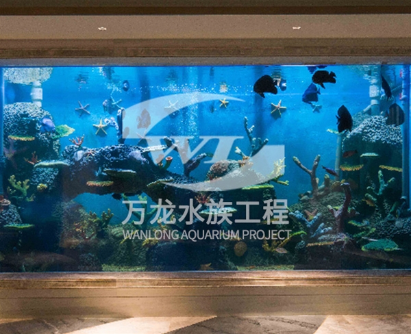 諸暨御江灣海底景觀設計