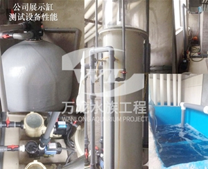 喂奶魚魚缸的維護(hù)操作是什么