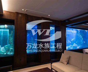 辦公室魚缸缸體表面發(fā)黃怎么解決