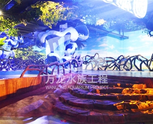 大型魚(yú)缸為什么有異味